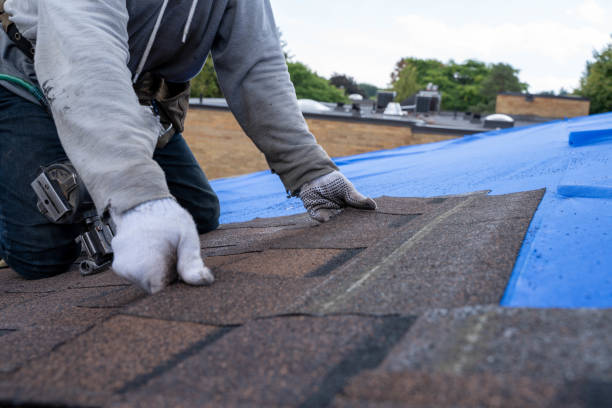 Best Roof Gutter Cleaning  in Basehor, KS